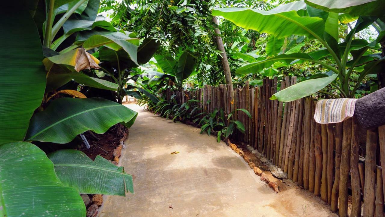 The Family Kingdom Resort Freetown Exterior foto